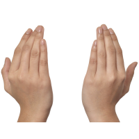 �j�̂���݉����@�F�n���h�}�b�T�[�W