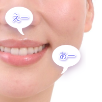 �j�̂���݉����@�F�����������̑�