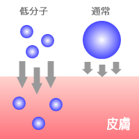 �R���[�Q���h�����N�̑I�ѕ��F�R���[�Q�����ᕪ�q������Ă��邱��