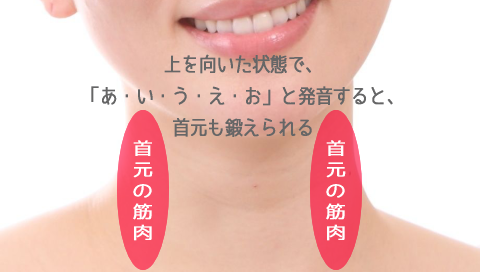 �����������̑�,�\���,���֋�,�V��,�����,��,�ނ���