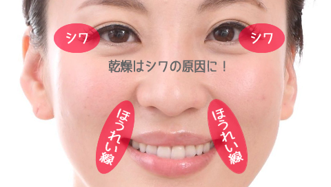 �ڌ��E�����ɂ͕ێ����ϕi���d�˂Â�����